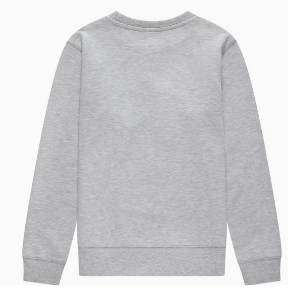 New Champion Men's Gray Sweatshirt Crew Neck Embroidered - Picture 2 of 4